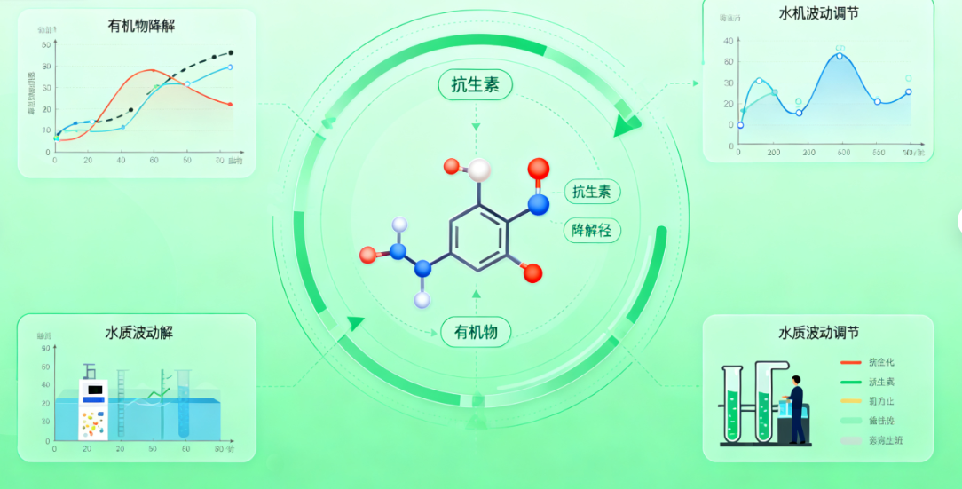 兽医技术中心污水成分全解析，污水处理设备