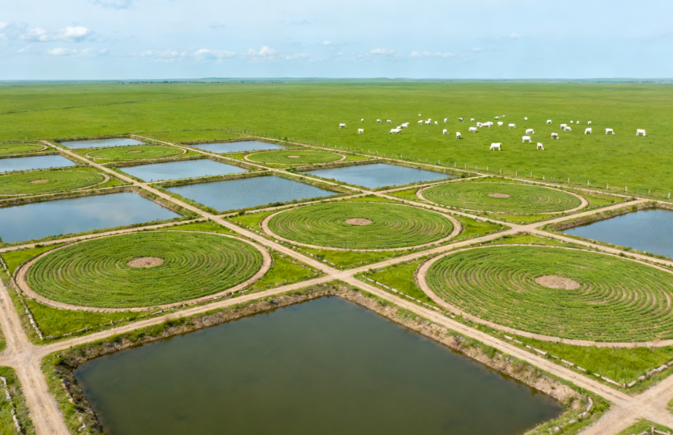 种养结合模式下的粪污处理设备配置：从牧场到农田的全链条方案